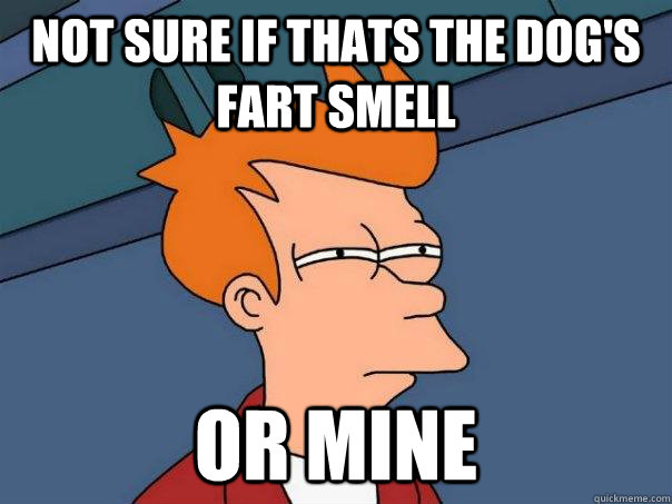 not sure if thats the dog's fart smell or mine - not sure if thats the dog's fart smell or mine  Futurama Fry