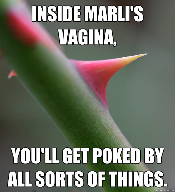 inside marli's vagina, you'll get poked by all sorts of things.  Self Important Prick
