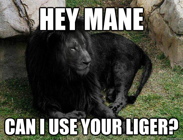 hey mane Can i use your liger? - hey mane Can i use your liger?  Black Lion Problems