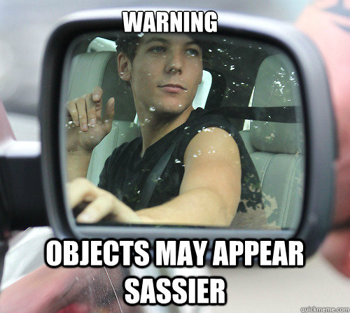 WARNING Objects may appear sassier   