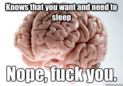 Knows that you want and need to sleep Nope, fuck you.    Scumbag Brain