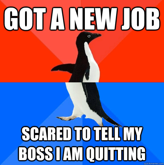 Got a new job Scared to tell my boss I am quitting - Got a new job Scared to tell my boss I am quitting  Socially Awesome Awkward Penguin