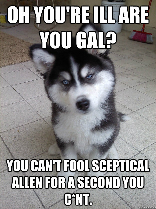 Oh you're ill are you Gal?   You can't fool sceptical Allen for a second you c*nt.    - Oh you're ill are you Gal?   You can't fool sceptical Allen for a second you c*nt.     Skeptical Dog