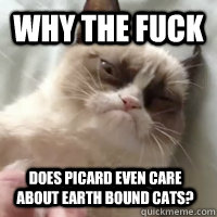 WHY THE FUCK Does Picard even care about Earth bound cats? - WHY THE FUCK Does Picard even care about Earth bound cats?  Misc