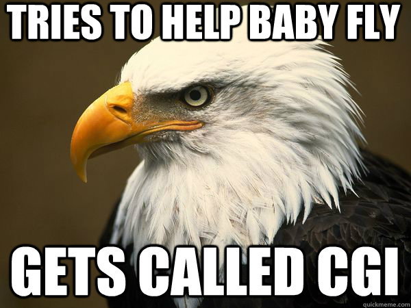 tries to help baby fly gets called cgi  