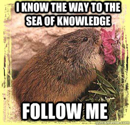 I know the way to the sea of knowledge Follow Me  Lesbian Lemming