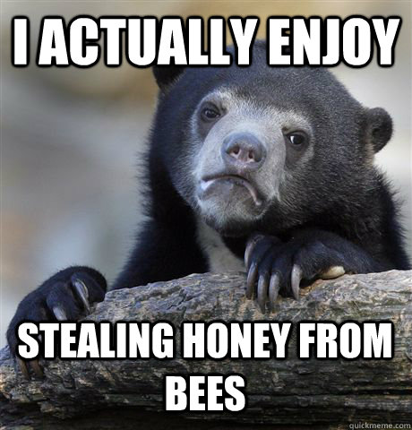 I ACTUALLY ENJOY STEALING HONEY FROM BEES  Confession Bear