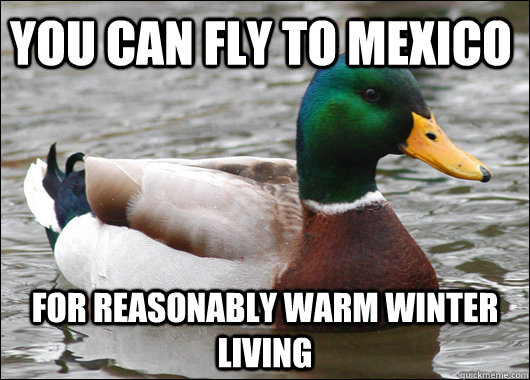 You can fly to Mexico For reasonably warm winter living  Actual Advice Mallard
