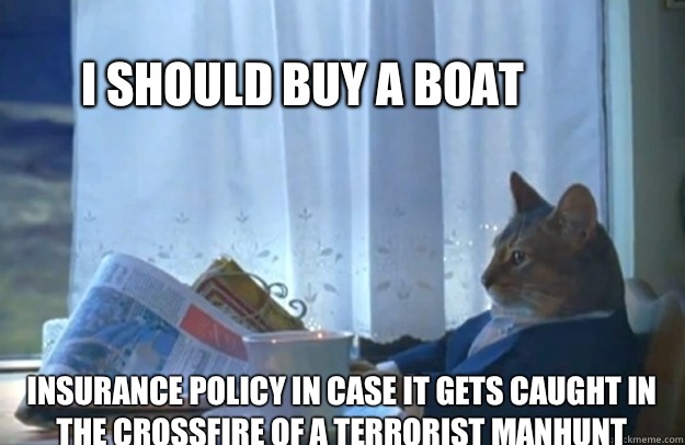 I should buy a boat Insurance policy in case it gets caught in the crossfire of a terrorist manhunt  Sophisticated Cat