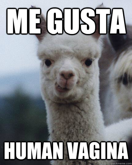 ME GUSTA HUMAN VAGINA  ALPACA