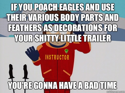 If you poach eagles and use their various body parts and feathers as decorations for your shitty little trailer you're gonna have a bad time  Youre gonna have a bad time