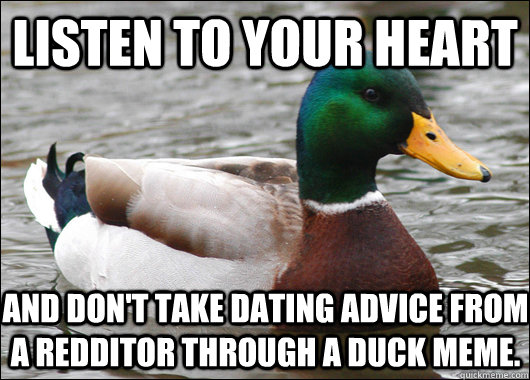 Listen to your heart And don't take dating advice from a redditor through a duck meme.  Actual Advice Mallard