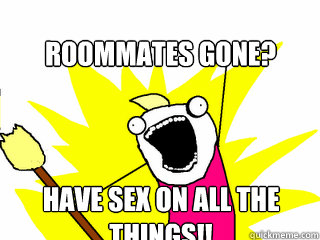 Roommates gone? Have sex on all the things!!  All The Things