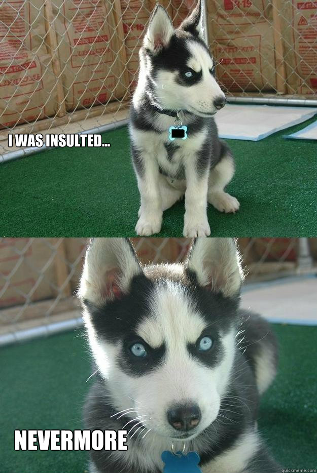 I was insulted... Nevermore  Insanity puppy