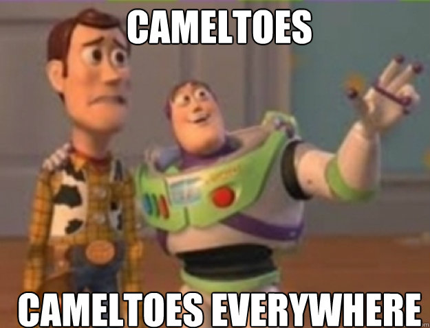 cameltoes cameltoes everywhere - cameltoes cameltoes everywhere  Misc