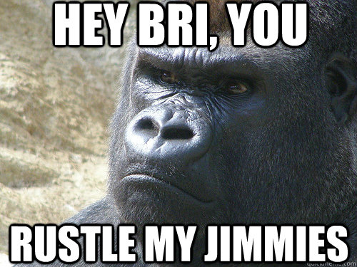 Hey Bri, you rustle my jimmies  