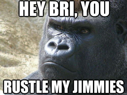 Hey Bri, you rustle my jimmies - Hey Bri, you rustle my jimmies  Grumpy Gorilla