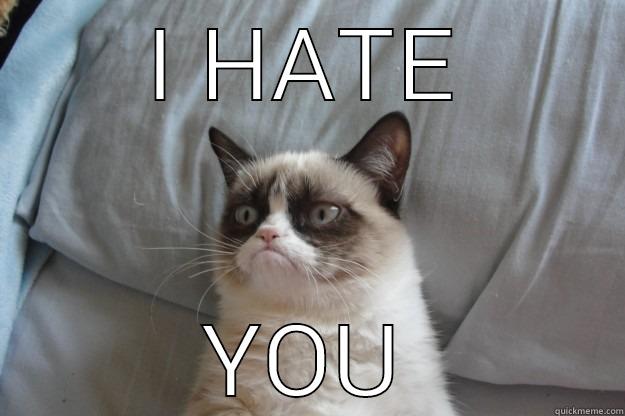 I HATE YOU Grumpy Cat