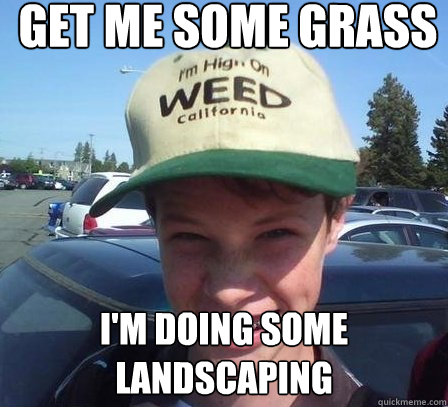 Get me some grass I'm doing some landscaping - Get me some grass I'm doing some landscaping  Stoner Luke