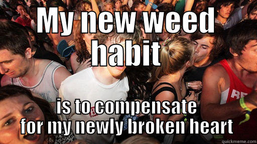 MY NEW WEED HABIT IS TO COMPENSATE FOR MY NEWLY BROKEN HEART Sudden Clarity Clarence