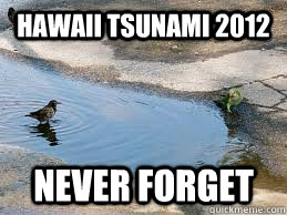 Hawaii tsunami 2012 never forget - Hawaii tsunami 2012 never forget  We will never forget Isaac!