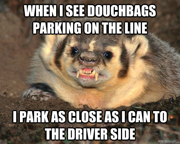 when i see douchbags parking on the line i park as close as i can to the driver side - when i see douchbags parking on the line i park as close as i can to the driver side  Bastard Badger