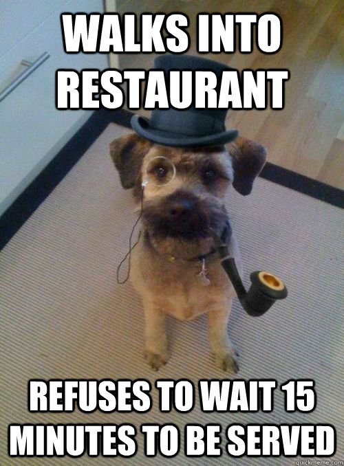 Walks into restaurant refuses to wait 15 minutes to be served - Walks into restaurant refuses to wait 15 minutes to be served  Snooty Dog Wearing Monocle