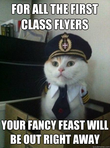 for all the first class flyers your fancy feast will be out right away - for all the first class flyers your fancy feast will be out right away  Captain kitteh