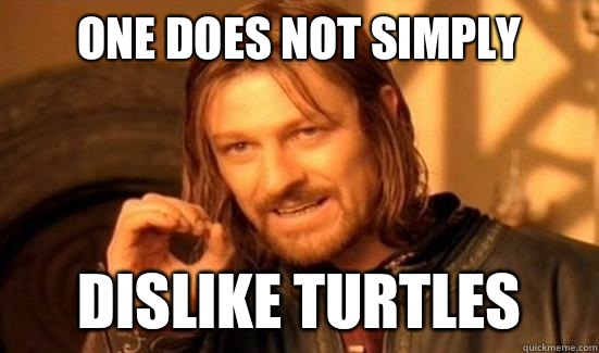 One Does Not Simply Dislike turtles  Boromir