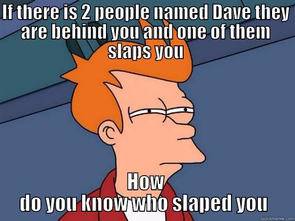 IF THERE IS 2 PEOPLE NAMED DAVE THEY ARE BEHIND YOU AND ONE OF THEM SLAPS YOU HOW DO YOU KNOW WHO SLAPED YOU  Futurama Fry