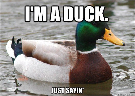 I'm a Duck. Just sayin'  Actual Advice Mallard