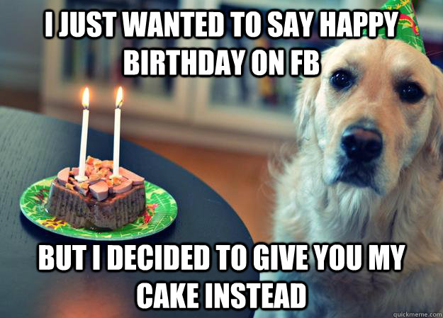I just wanted to say happy birthday on FB but I decided to give you my cake instead  Sad Birthday Dog