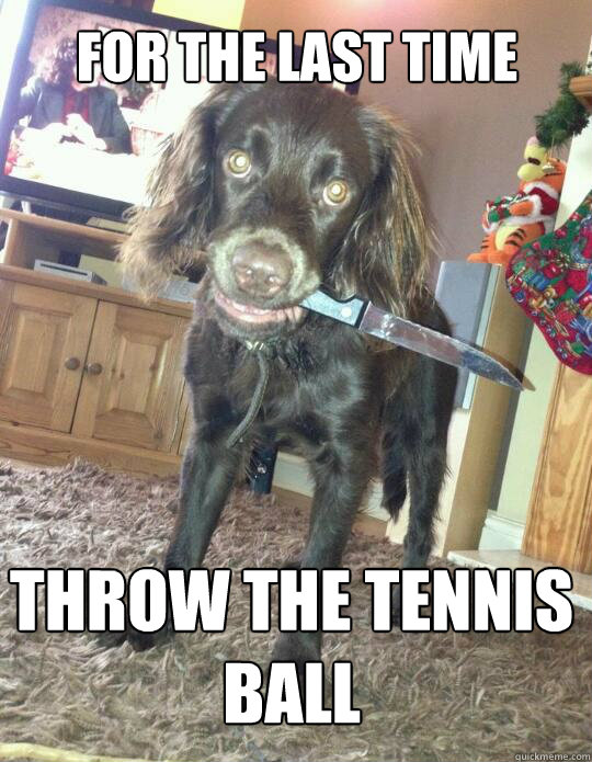 For the last time
 Throw the tennis ball
  