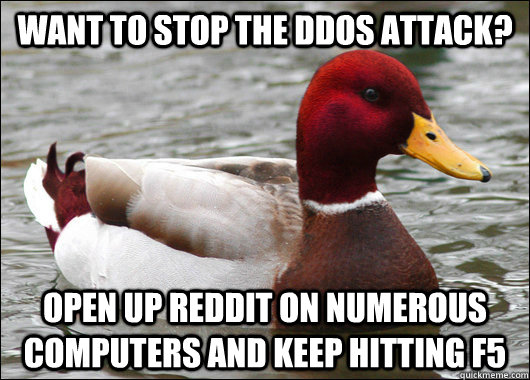 want to stop the ddos attack? open up reddit on numerous computers and keep hitting f5  Malicious Advice Mallard