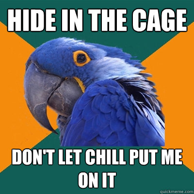 Hide in the cage don't let chill put me on it  Paranoid Parrot