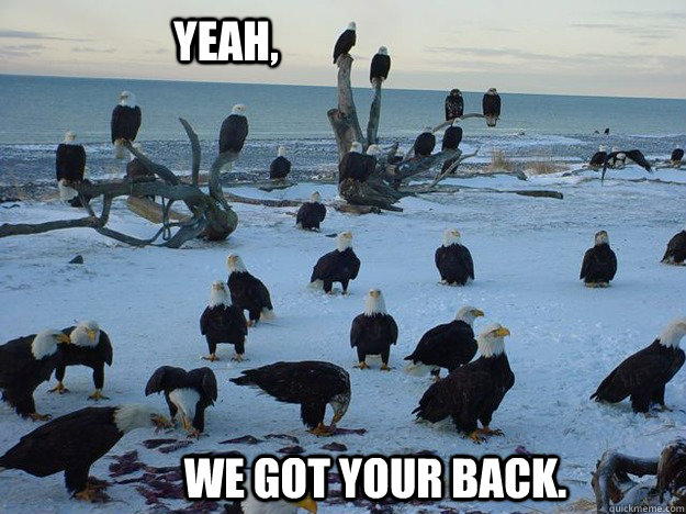 Yeah, We got your back. - Yeah, We got your back.  Free Range