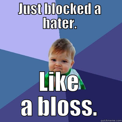 JUST BLOCKED A HATER. LIKE A BLOSS. Success Kid