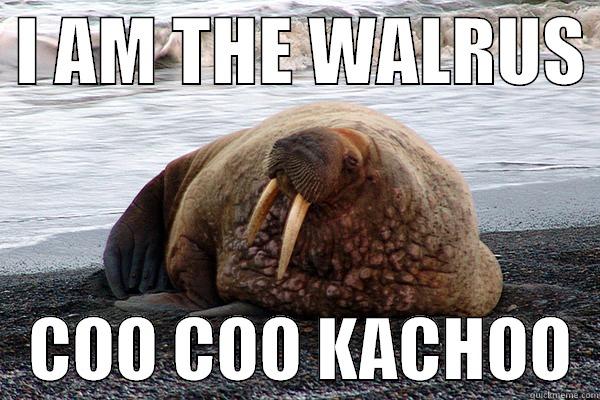  I AM THE WALRUS     COO COO KACHOO  Misc