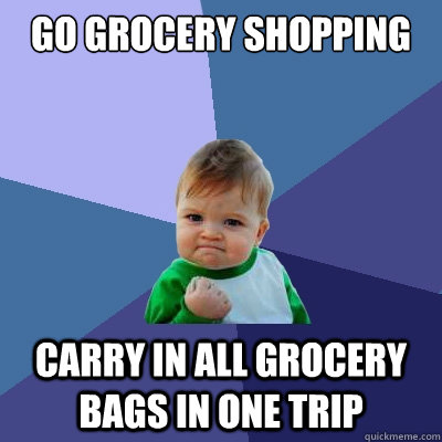 Go grocery shopping Carry in all grocery bags in one trip  Success Kid