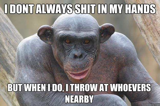 i dont always shit in my hands but when i do, i throw at whoevers nearby  The Most Interesting Chimp In The World