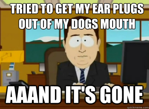 Tried to get my ear plugs out of my dogs mouth aaand it's gone  South Park Banker
