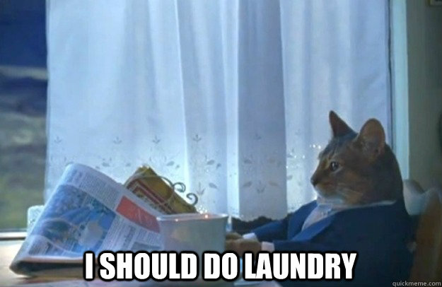  I should do laundry   Sophisticated Cat