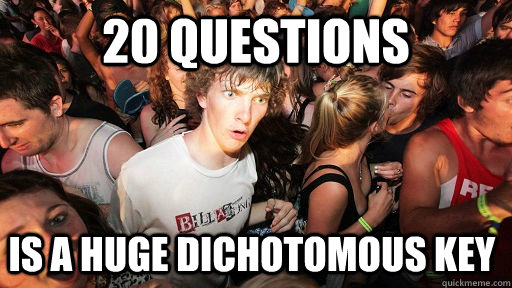 20 questions  is a huge dichotomous key  Sudden Clarity Clarence