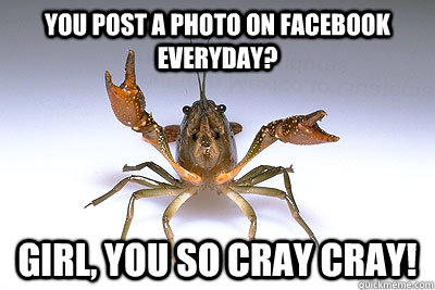You post a photo on Facebook everyday? Girl, you so cray cray! - You post a photo on Facebook everyday? Girl, you so cray cray!  Cray Cray bey
