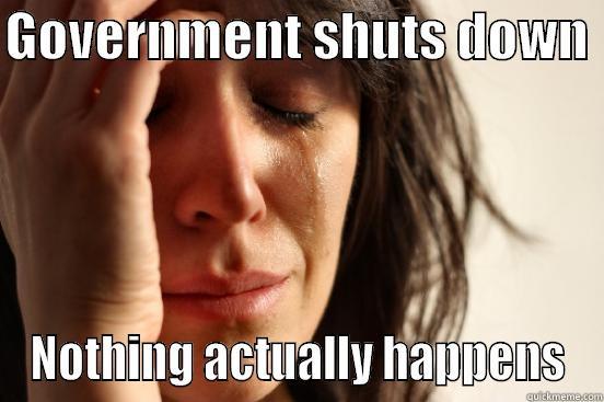 GOVERNMENT SHUTS DOWN  NOTHING ACTUALLY HAPPENS First World Problems
