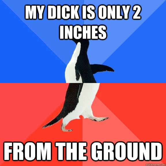 My dick is only 2 inches FROM THE GROUND  Socially Awkward Awesome Penguin