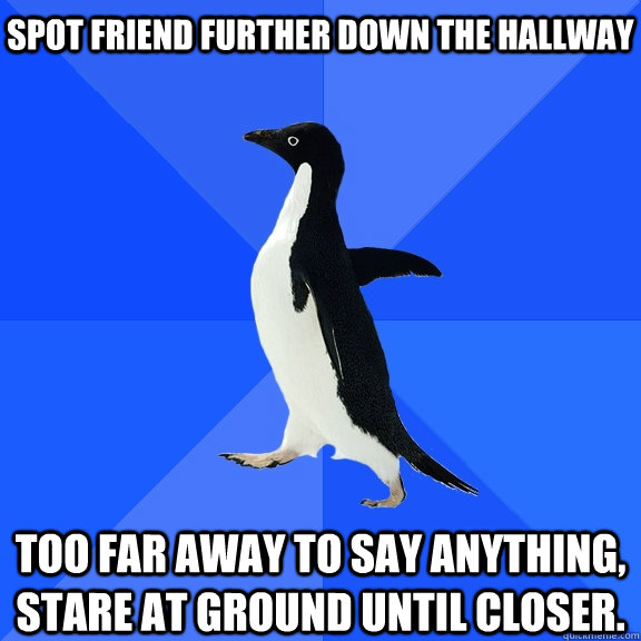Spot friend further down the hallway Too far away to say anything, stare at ground until closer.    Socially Awkward Penguin