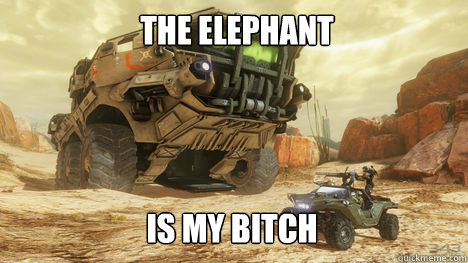 The Elephant Is My Bitch - The Elephant Is My Bitch  What I thought of when I first saw this