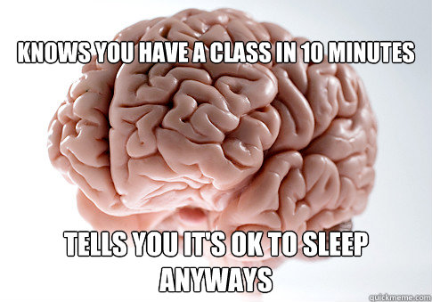
knows you have a class in 10 minutes  tells you it's ok to sleep anyways   Scumbag Brain
