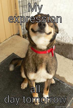 MY EXPRESSION ALL DAY TOMORROW Good Dog Greg